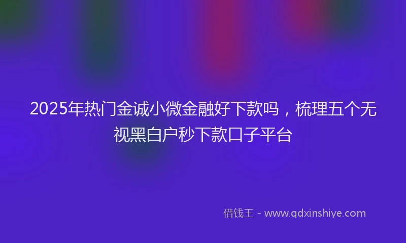 2025年热门金诚小微金融好下款吗，梳理五个无视黑白户秒下款口子平台