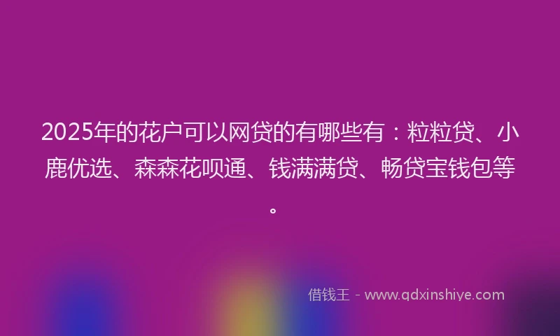 2025年的花户可以网贷的有哪些有：粒粒贷、小鹿优选、森森花呗通、钱满满贷、畅贷宝钱包等。