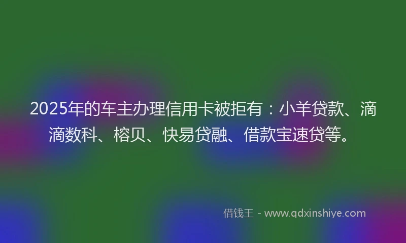 2025年的车主办理信用卡被拒有：小羊贷款、滴滴数科、榕贝、快易贷融、借款宝速贷等。