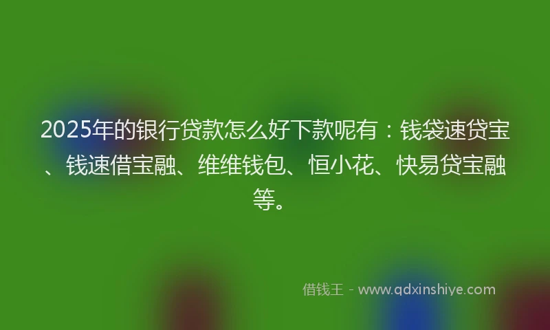 2025年的银行贷款怎么好下款呢有：钱袋速贷宝、钱速借宝融、维维钱包、恒小花、快易贷宝融等。