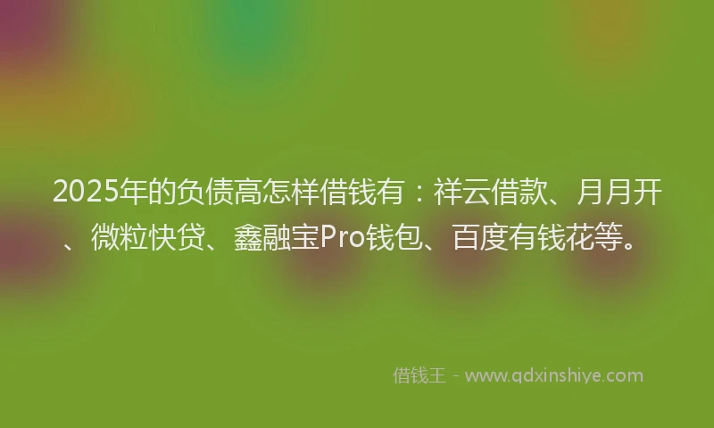 2025年的负债高怎样借钱有:祥云借款、月月开、微粒快贷、鑫融宝Pro钱包、百度有钱花等。