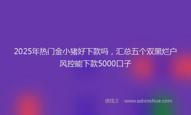 2025年热门金小猪好下款吗，汇总五个双黑烂户风控能下款5000口子