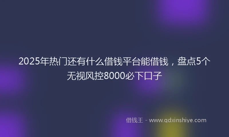 2025年热门还有什么借钱平台能借钱,盘点5个无视风控8000必下口子