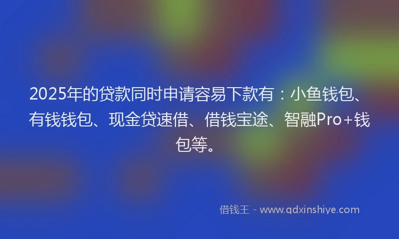 2025年的贷款同时申请容易下款有:小鱼钱包、有钱钱包、现金贷速借、借钱宝途、智融Pro+钱包等。