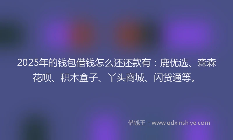 2025年的钱包借钱怎么还还款有：鹿优选、森森花呗、积木盒子、丫头商城、闪贷通等。