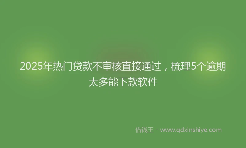 2025年热门贷款不审核直接通过,梳理5个逾期太多能下款软件