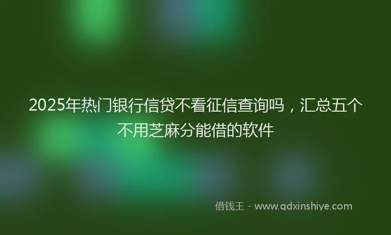 2025年热门银行信贷不看征信查询吗，汇总五个不用芝麻分能借的软件
