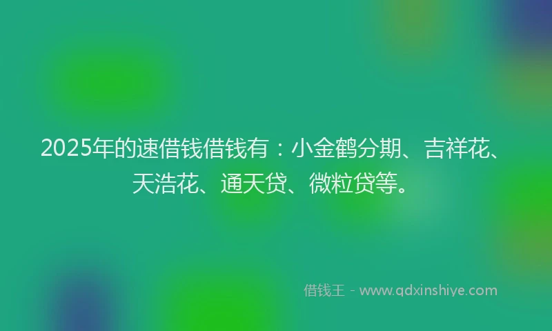 2025年的速借钱借钱有：小金鹤分期、吉祥花、天浩花、通天贷、微粒贷等。