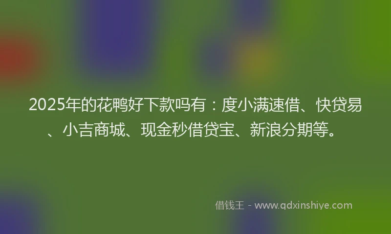 2025年的花鸭好下款吗有：度小满速借、快贷易、小吉商城、现金秒借贷宝、新浪分期等。