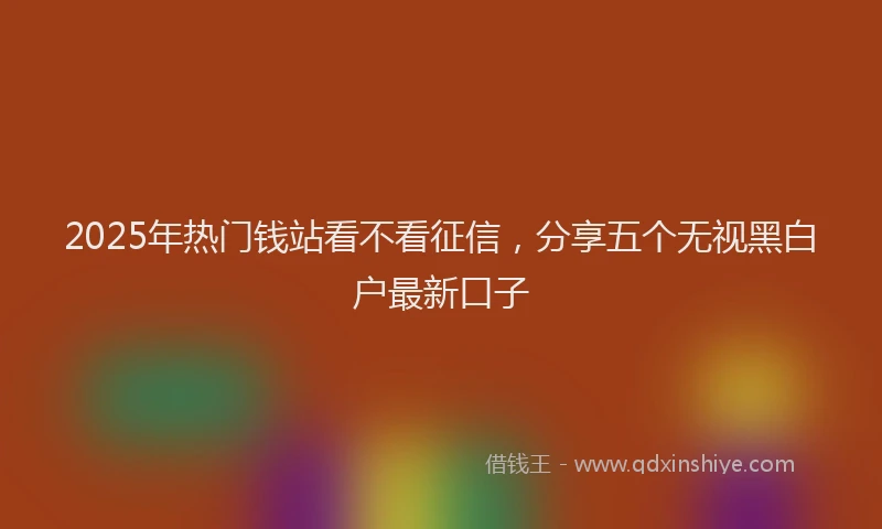 2025年热门钱站看不看征信，分享五个无视黑白户最新口子