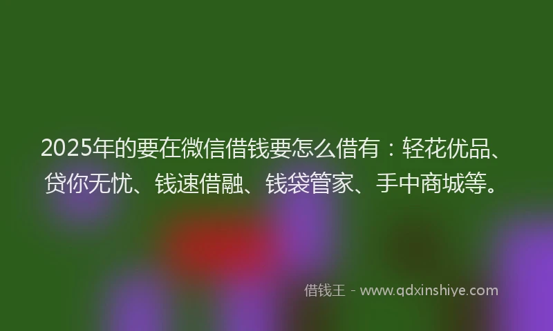 2025年的要在微信借钱要怎么借有：轻花优品、贷你无忧、钱速借融、钱袋管家、手中商城等。