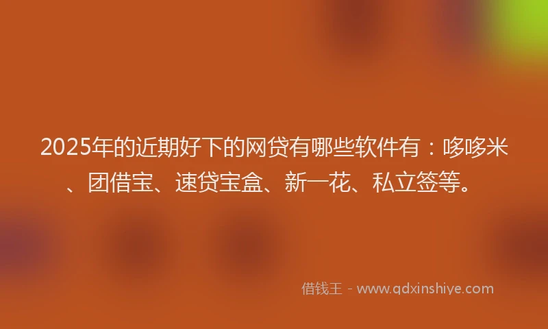 2025年的近期好下的网贷有哪些软件有：哆哆米、团借宝、速贷宝盒、新一花、私立签等。