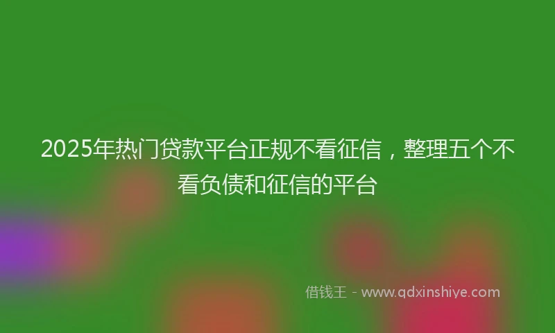 2025年热门贷款平台正规不看征信,整理五个不看负债和征信的平台