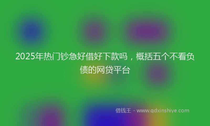 2025年热门钞急好借好下款吗,概括五个不看负债的网贷平台