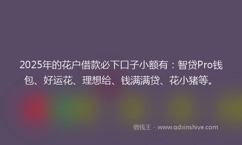 2025年的花户借款必下口子小额有：智贷Pro钱包、好运花、理想给、钱满满贷、花小猪等。