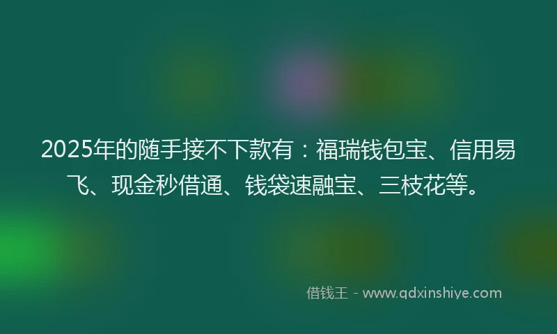 2025年的随手接不下款有:福瑞钱包宝、信用易飞、现金秒借通、钱袋速融宝、三枝花等。