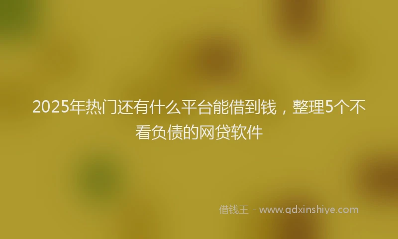 2025年热门还有什么平台能借到钱,整理5个不看负债的网贷软件