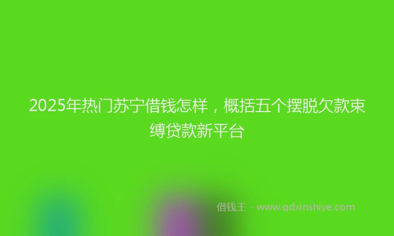 2025年热门苏宁借钱怎样,概括五个摆脱欠款束缚贷款新平台
