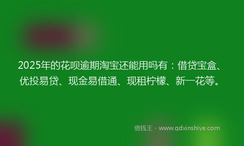 2025年的花呗逾期淘宝还能用吗有：借贷宝盒、优投易贷、现金易借通、现租柠檬、新一花等。