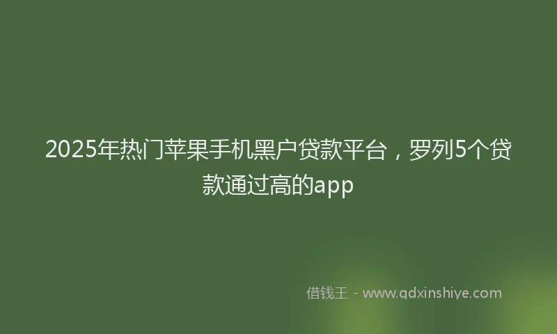2025年热门苹果手机黑户贷款平台，罗列5个贷款通过高的app