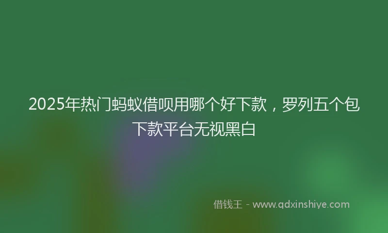 2025年热门蚂蚁借呗用哪个好下款，罗列五个包下款平台无视黑白
