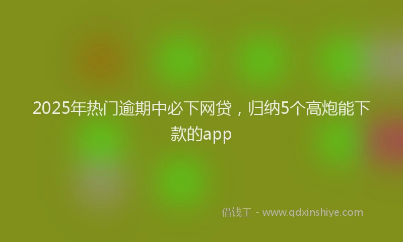 2025年热门逾期中必下网贷,归纳5个高炮能下款的app