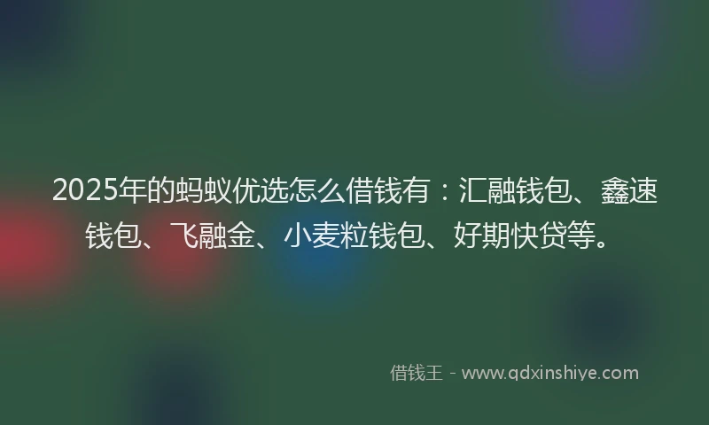 2025年的蚂蚁优选怎么借钱有：汇融钱包、鑫速钱包、飞融金、小麦粒钱包、好期快贷等。