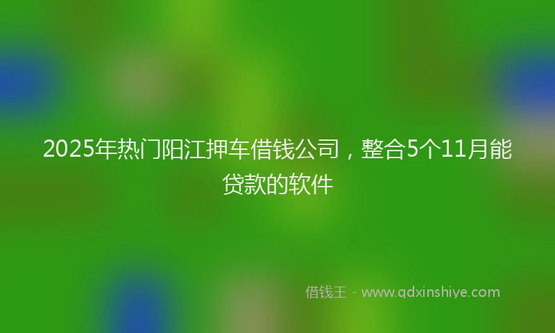 2025年热门阳江押车借钱公司，整合5个11月能贷款的软件