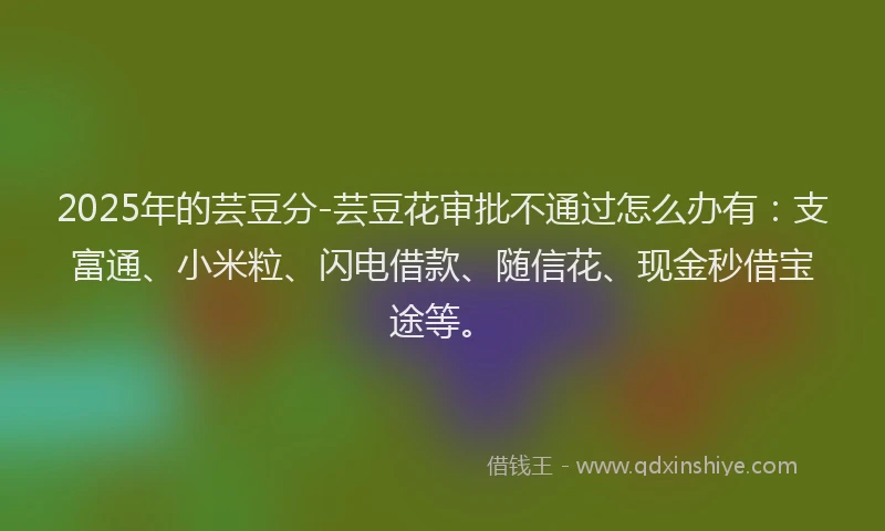 2025年的芸豆分-芸豆花审批不通过怎么办有：支富通、小米粒、闪电借款、随信花、现金秒借宝途等。