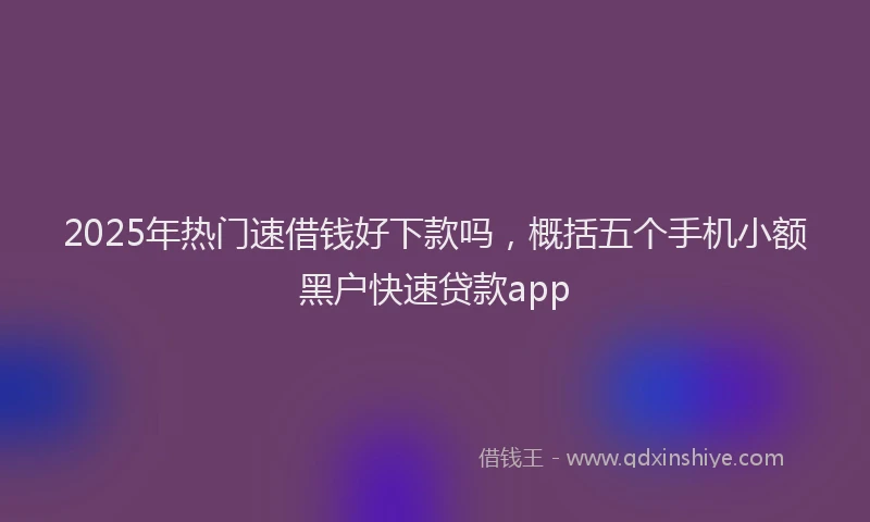 2025年热门速借钱好下款吗，概括五个手机小额黑户快速贷款app