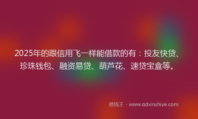 2025年的跟信用飞一样能借款的有：投友快贷、珍珠钱包、融资易贷、葫芦花、速贷宝盒等。