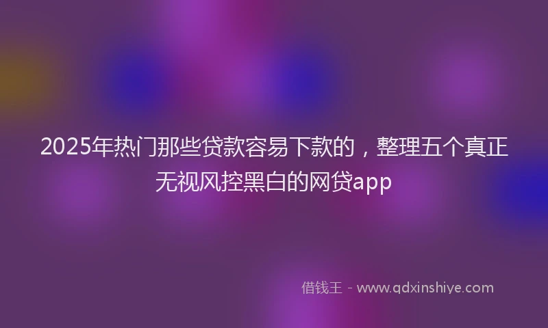 2025年热门那些贷款容易下款的，整理五个真正无视风控黑白的网贷app