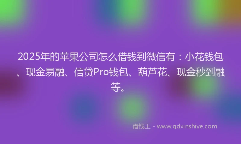 2025年的苹果公司怎么借钱到微信有：小花钱包、现金易融、信贷Pro钱包、葫芦花、现金秒到融等。