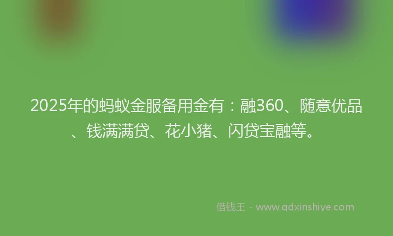 2025年的蚂蚁金服备用金有：融360、随意优品、钱满满贷、花小猪、闪贷宝融等。