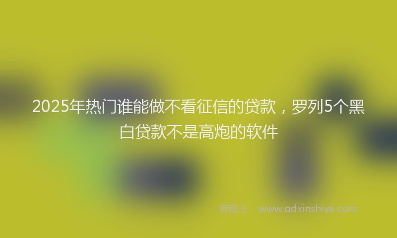 2025年热门谁能做不看征信的贷款,罗列5个黑白贷款不是高炮的软件