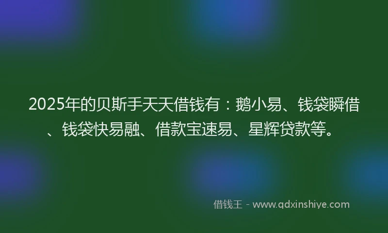 2025年的贝斯手天天借钱有：鹅小易、钱袋瞬借、钱袋快易融、借款宝速易、星辉贷款等。