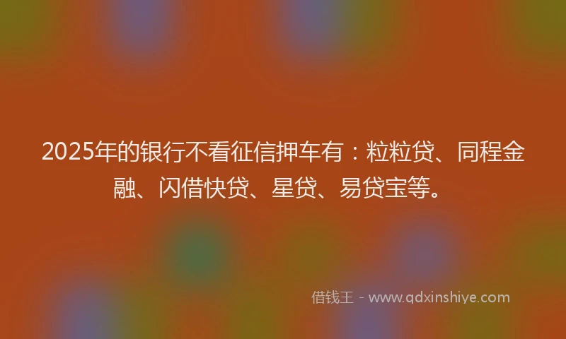 2025年的银行不看征信押车有:粒粒贷、同程金融、闪借快贷、星贷、易贷宝等。
