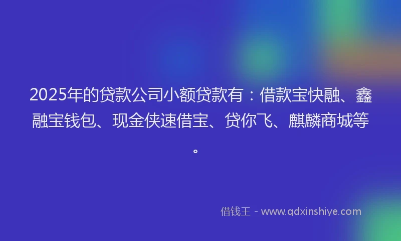 2025年的贷款公司小额贷款有:借款宝快融、鑫融宝钱包、现金侠速借宝、贷你飞、麒麟商城等。