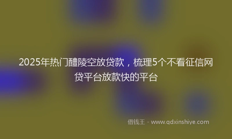 2025年热门醴陵空放贷款，梳理5个不看征信网贷平台放款快的平台
