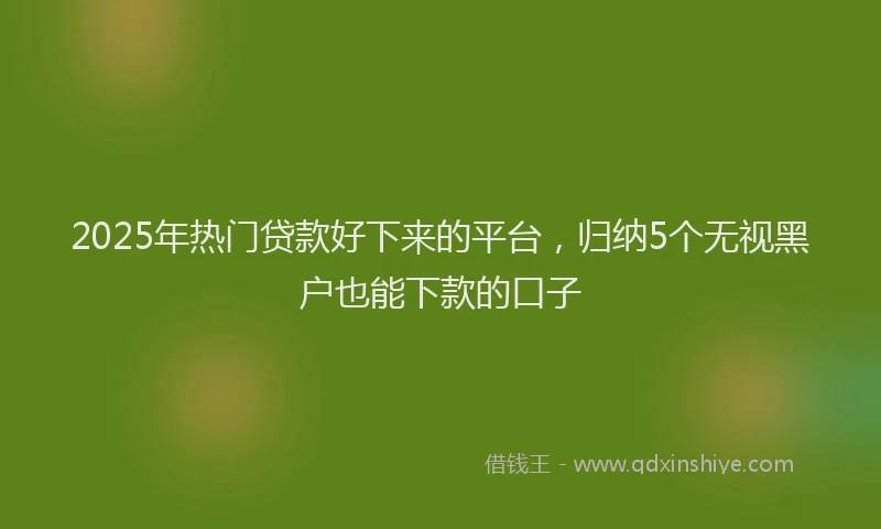 2025年热门贷款好下来的平台,归纳5个无视黑户也能下款的口子