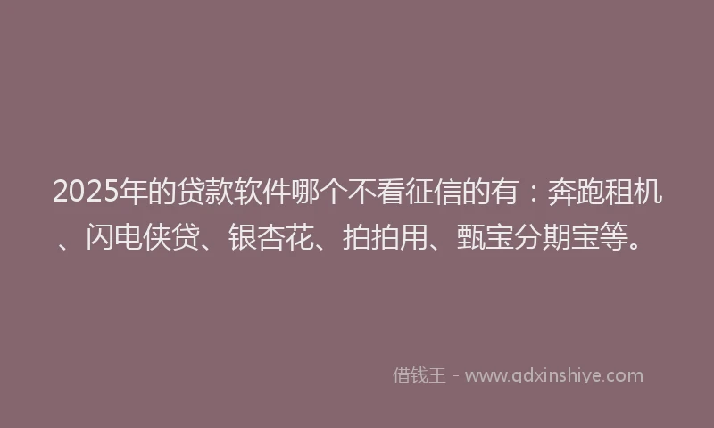 2025年的贷款软件哪个不看征信的有：奔跑租机、闪电侠贷、银杏花、拍拍用、甄宝分期宝等。