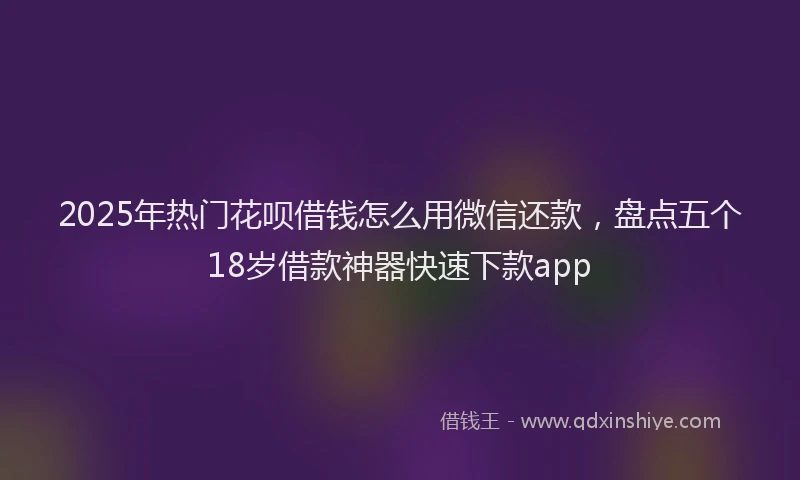 2025年热门花呗借钱怎么用微信还款，盘点五个18岁借款神器快速下款app