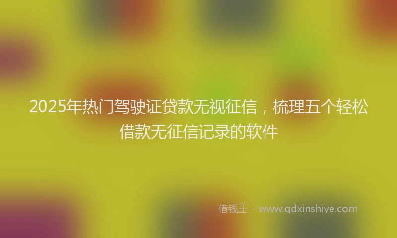 2025年热门驾驶证贷款无视征信,梳理五个轻松借款无征信记录的软件