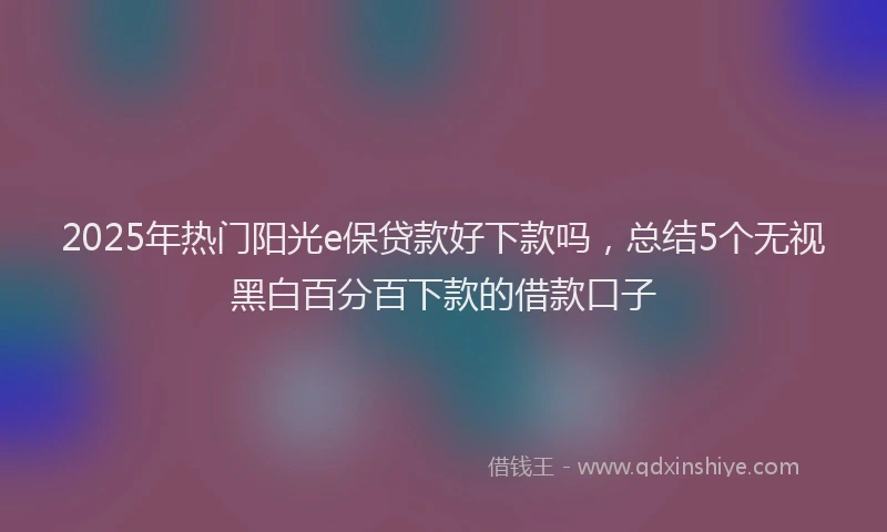 2025年热门阳光e保贷款好下款吗，总结5个无视黑白百分百下款的借款口子