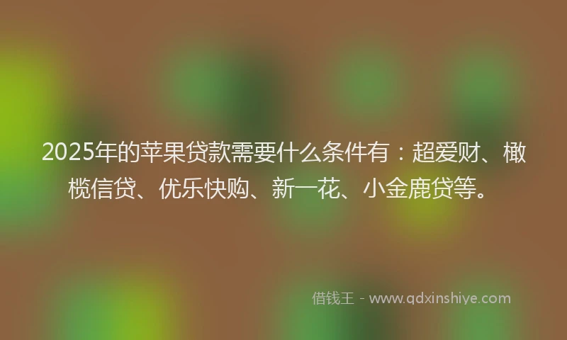 2025年的苹果贷款需要什么条件有：超爱财、橄榄信贷、优乐快购、新一花、小金鹿贷等。