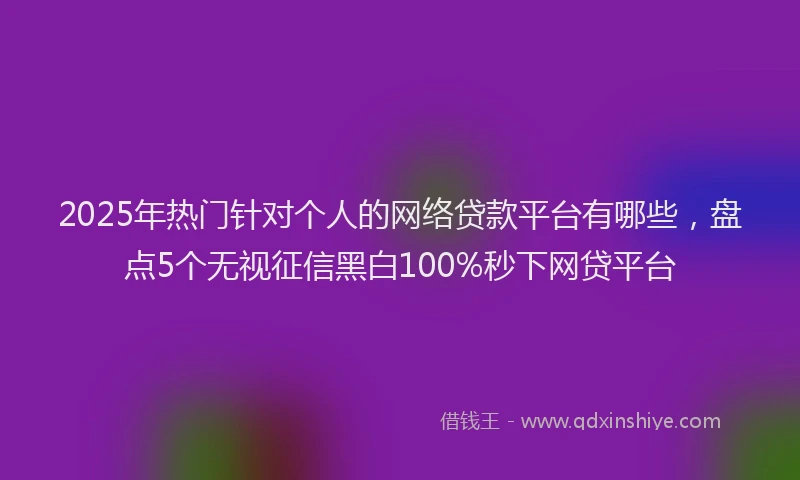 2025年热门针对个人的网络贷款平台有哪些，盘点5个无视征信黑白100%秒下网贷平台