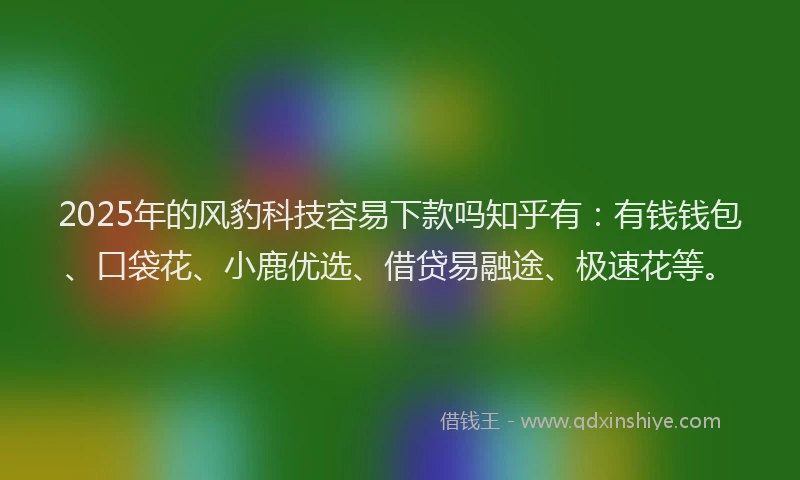2025年的风豹科技容易下款吗知乎有:有钱钱包、口袋花、小鹿优选、借贷易融途、极速花等。