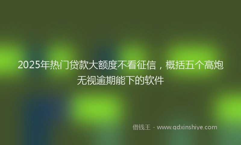 2025年热门贷款大额度不看征信,概括五个高炮无视逾期能下的软件