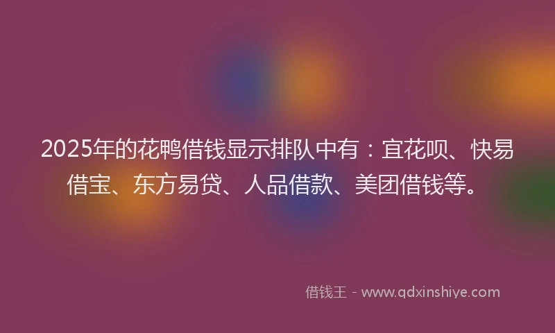 2025年的花鸭借钱显示排队中有:宜花呗、快易借宝、东方易贷、人品借款、美团借钱等。