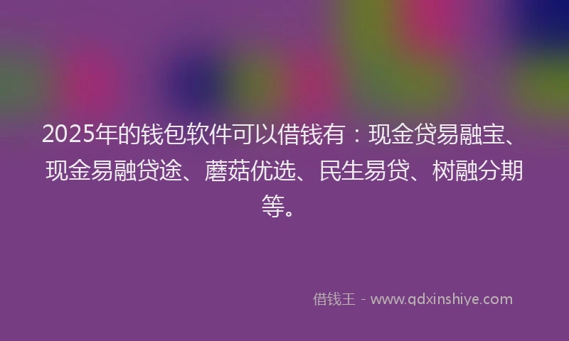 2025年的钱包软件可以借钱有：现金贷易融宝、现金易融贷途、蘑菇优选、民生易贷、树融分期等。